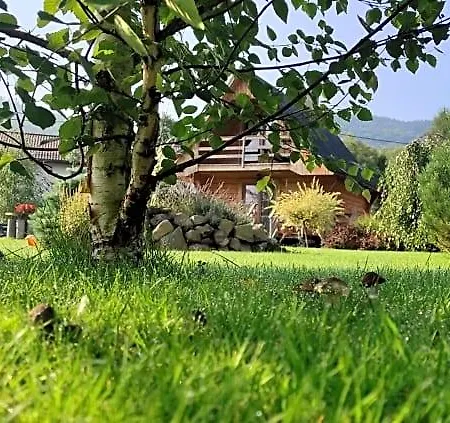 Lodge Mateo